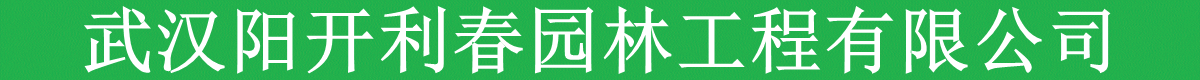 https://www.yangluo.ren/data/attachment/forum/202605/09/000819vfl4czclfqjcq3r0.gif